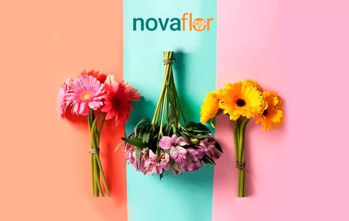 Nova Flor